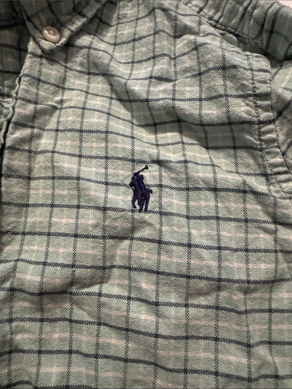 Ralph Lauren Light Mint and Navy Grid Button-Up Shirt